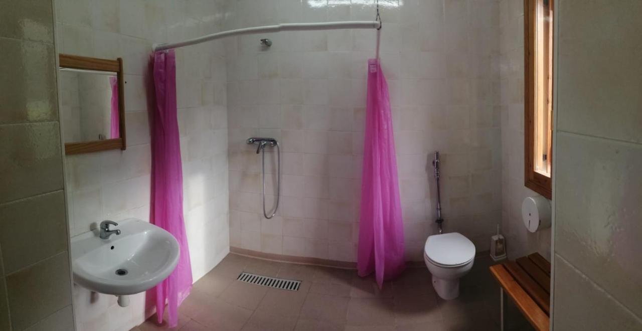 Hostel La Casa De Pineta Bielsa Exteriér fotografie